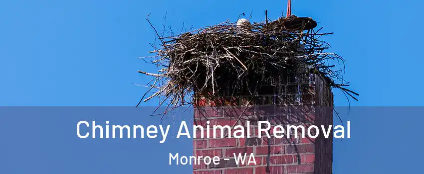  Chimney Animal Removal Monroe - WA
