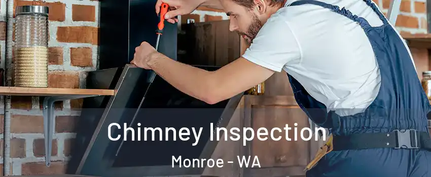  Chimney Inspection Monroe - WA