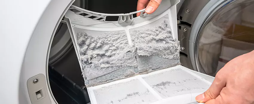 Best Dryer Lint Removal Company in Monroe, Washington