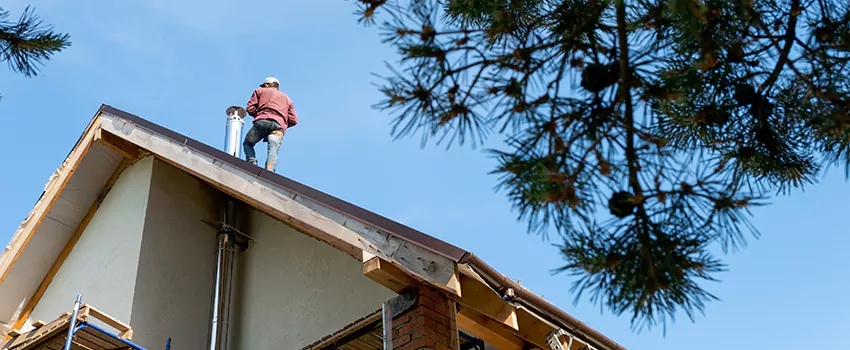 Birds Removal Contractors from Chimney in Monroe, WA